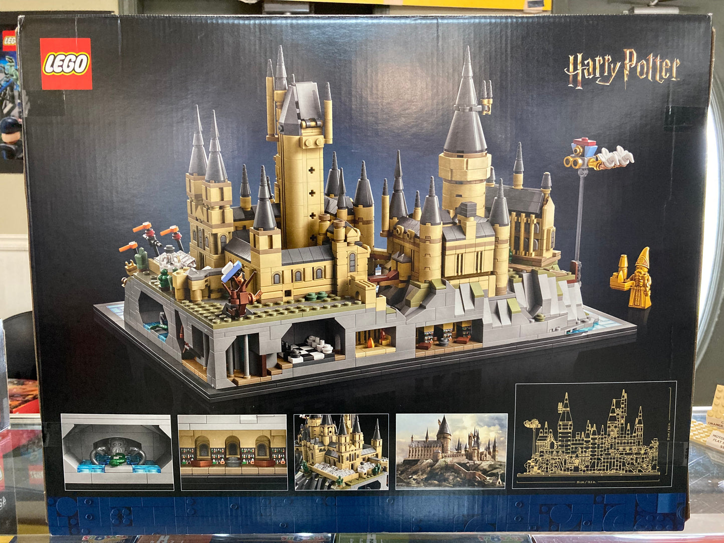 Hogwarts Castle and Grounds, 76419