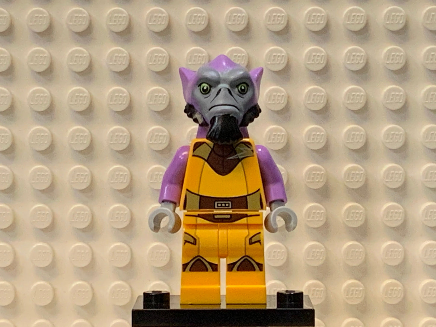 Zeb Orrelios, sw0575